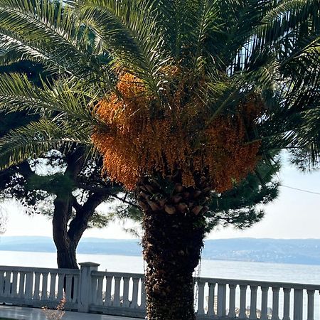 Crikvenica Right On The Beach Eksteriør bilde